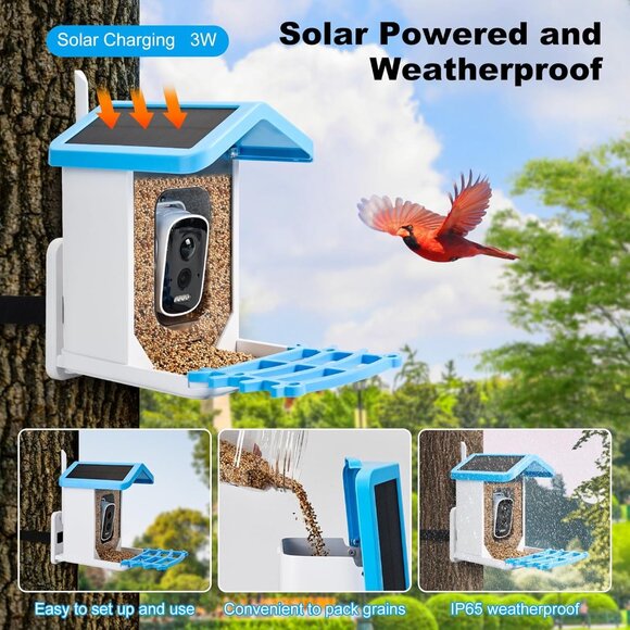 Smart Bird Feeder with Camera Solar Powered & Wireless Outdoor, HD Auto-Capture - Picture 4 of 6